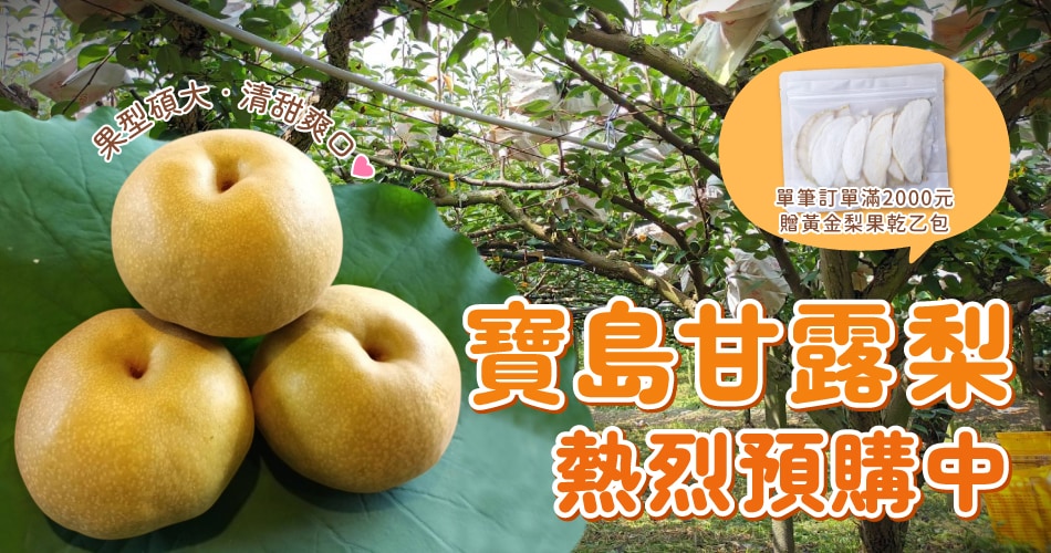寶島甘露梨預購中