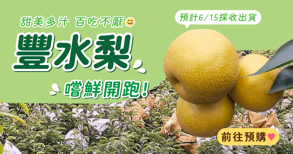 豐水梨開放預購